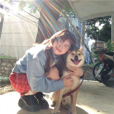 双筒望远镜之兔子的朋友是乌龟